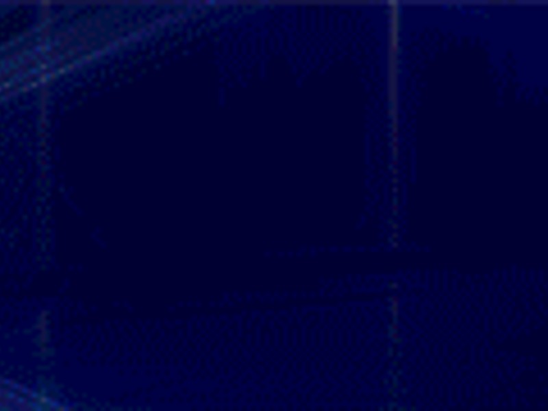 Minh họa tránh đuổi theo thua lỗ